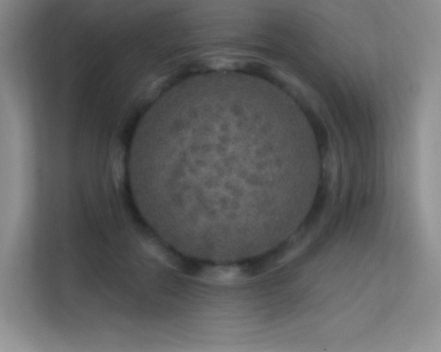 X0000113570554200909251137