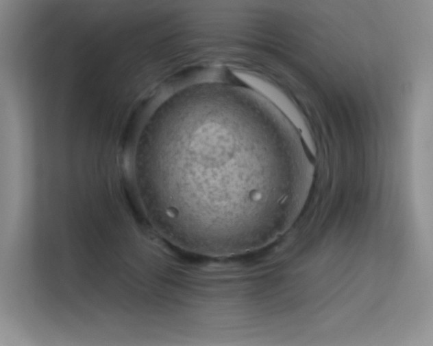 X0000113570556200909251137