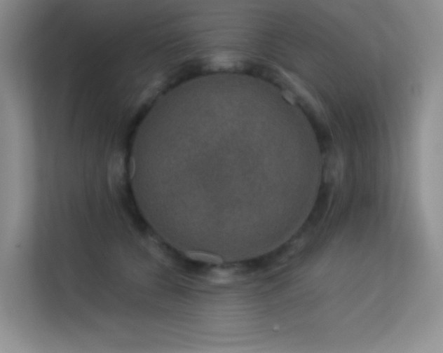 X0000113570560200909251137