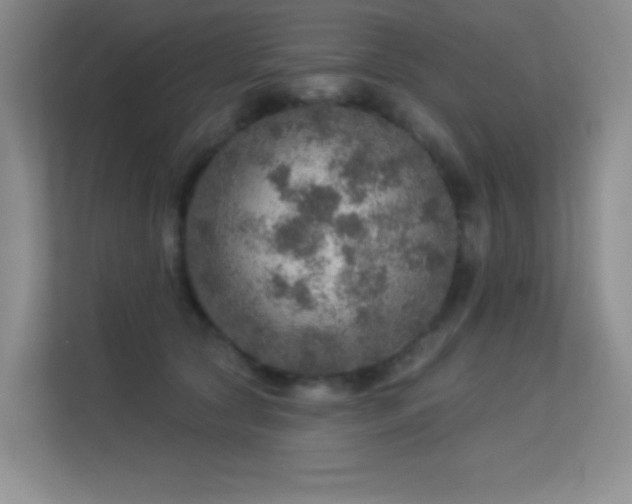 X0000113570561200909251137