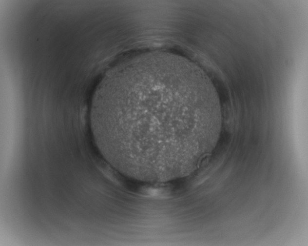X0000113570563200909251137