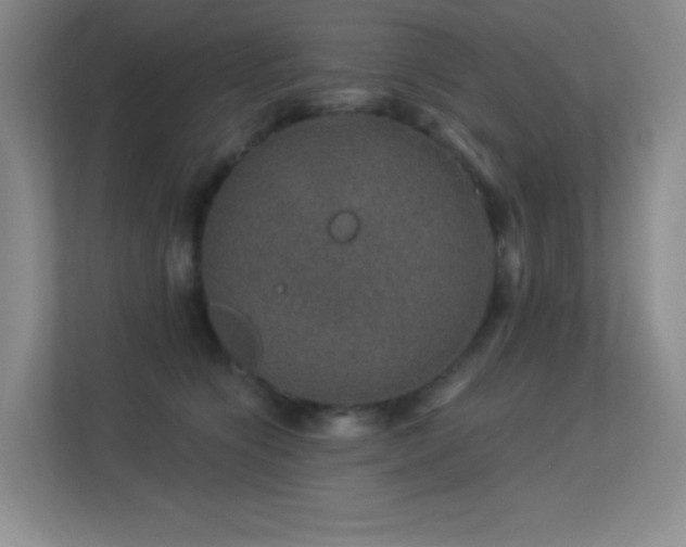 X0000113570564200909251137