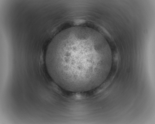 X0000113570565200909251137