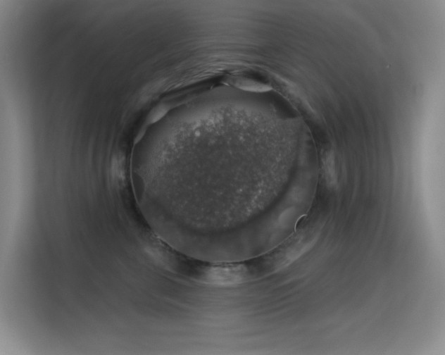 X0000113570571200909251137