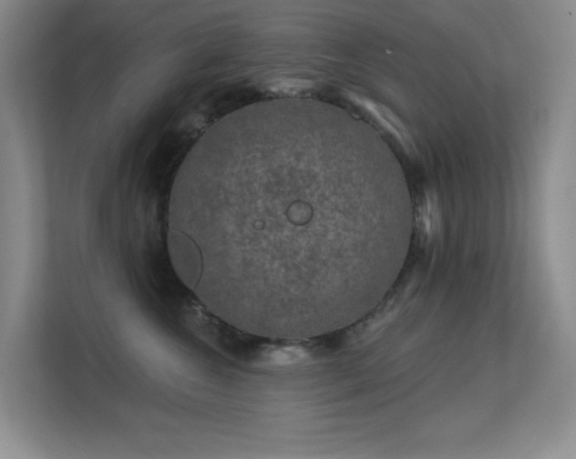 X0000113570572200909251137