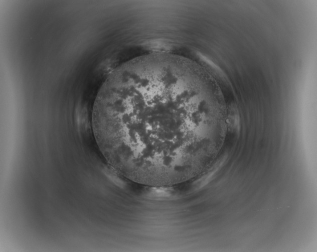 X0000113570573200909251137