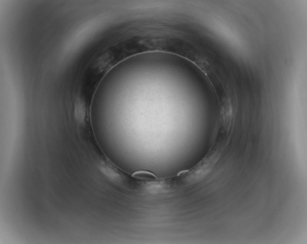 X0000113570574200909251137