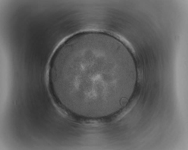 X0000113570580200909251136