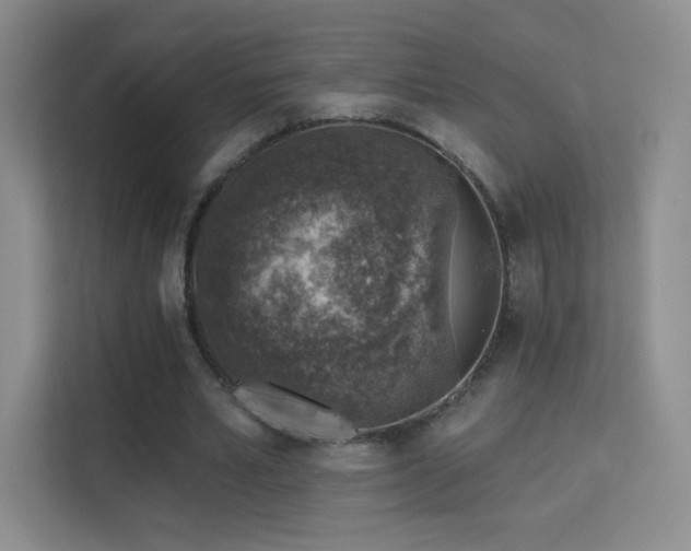 X0000113570581200909251136