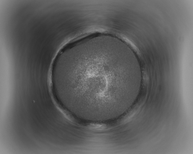 X0000113570582200909251136