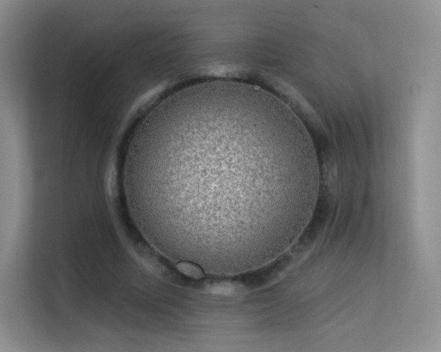 X0000113570587200909251136