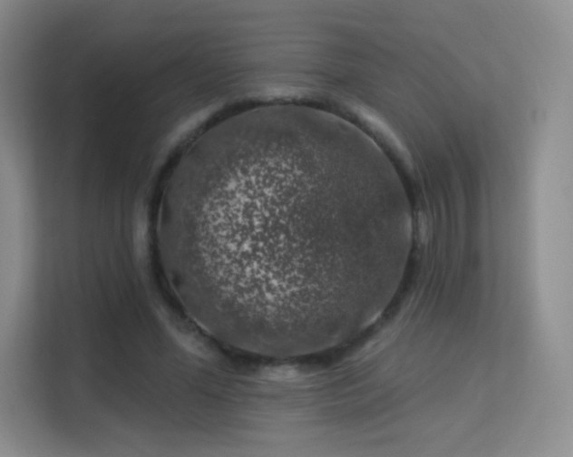 X0000113570588200909251136