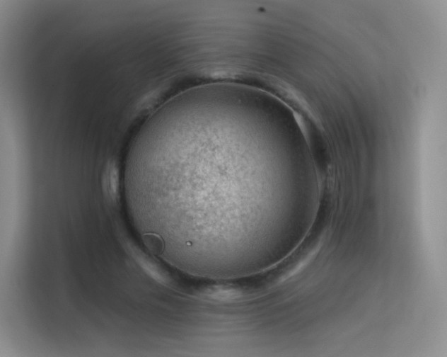 X0000113570589200909251136