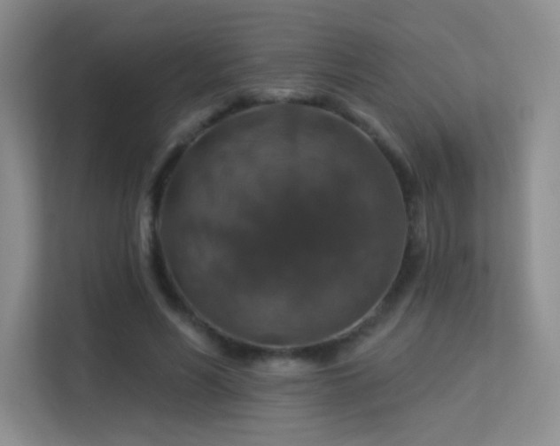 X0000113570590200909251136