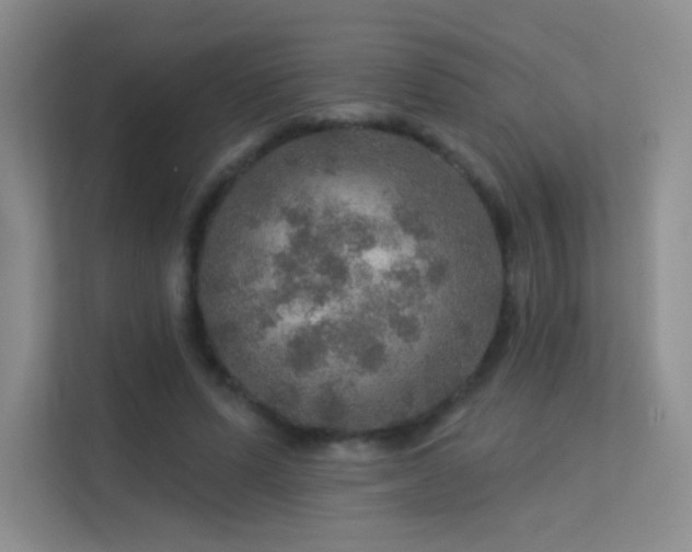 X0000113570591200909251136