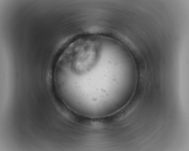 X0000113570592200909251136