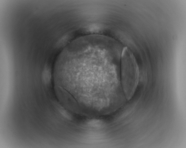 X0000113570593200909251136