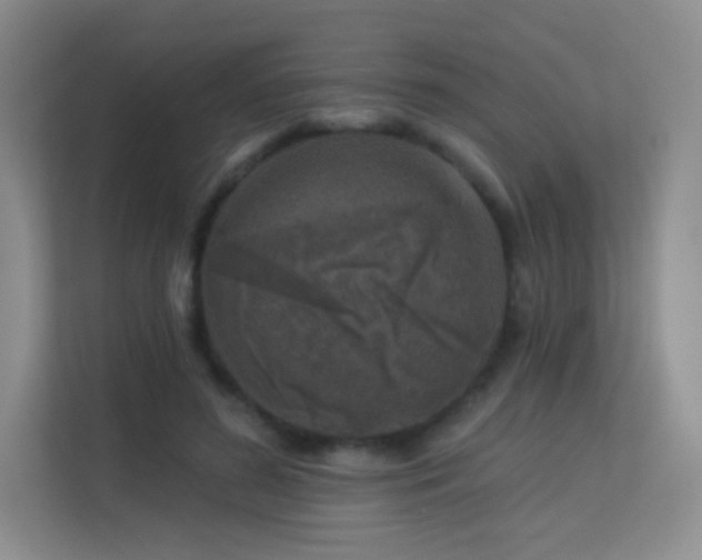 X0000113570596200909251136