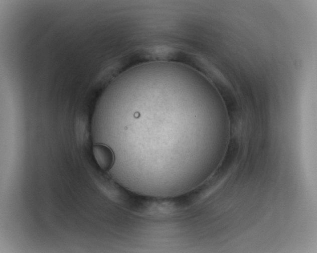 X0000113570599200909251136