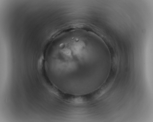 X0000113570600200909251136