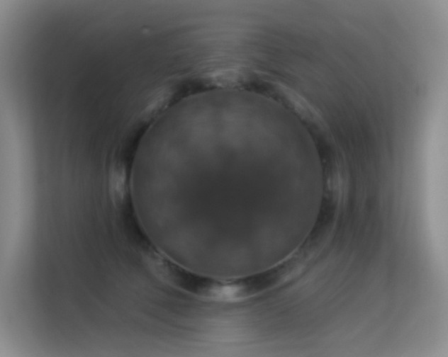 X0000113570610200909251136