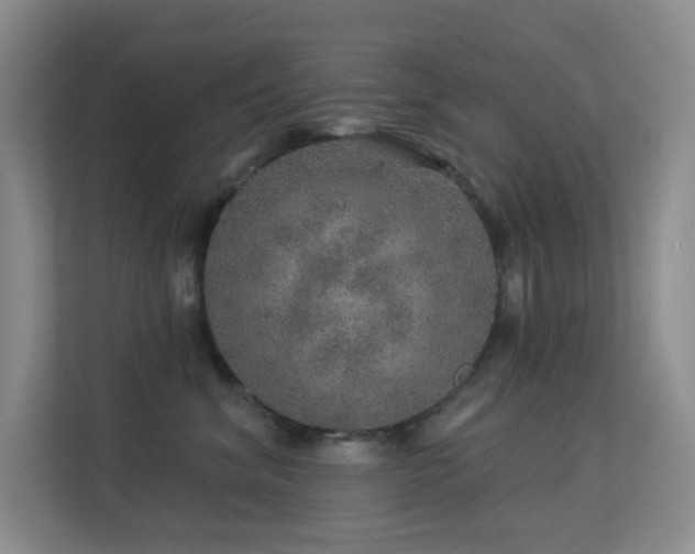 X0000113570620200909251136