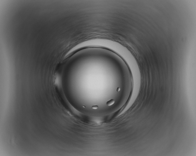 X0000113570621200909251136