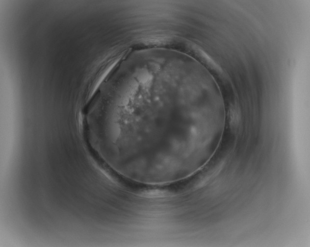 X0000113570637200909251135
