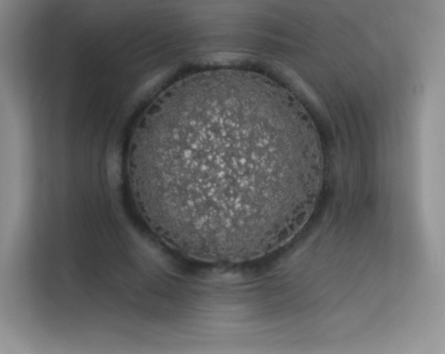 X0000113570640200909251135