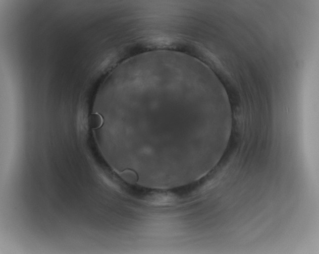 X0000113570642200909251135