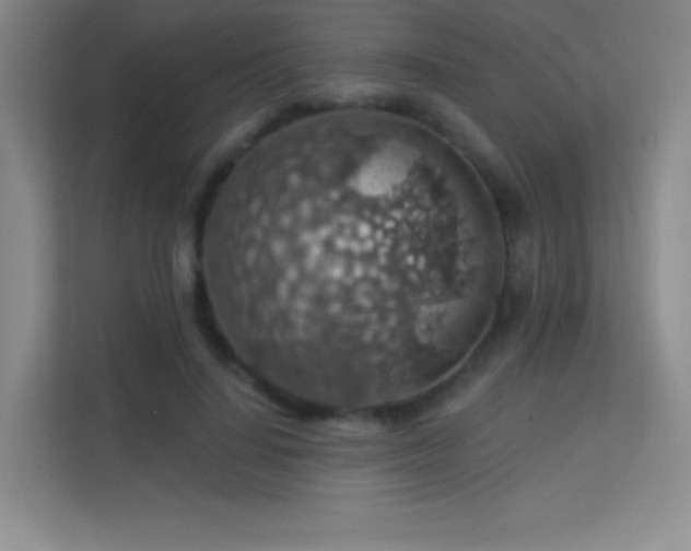 X0000113570644200909251135