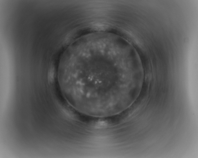 X0000113570647200909251135