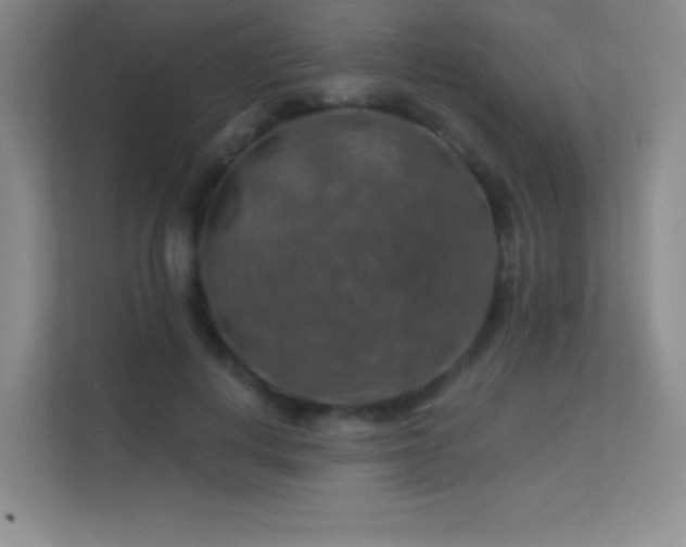 X0000113570648200909251135