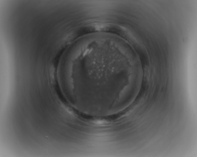 X0000113570650200909251135