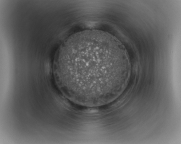 X0000113570651200909251135