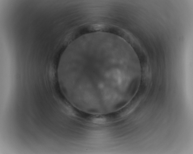 X0000113570653200909251135