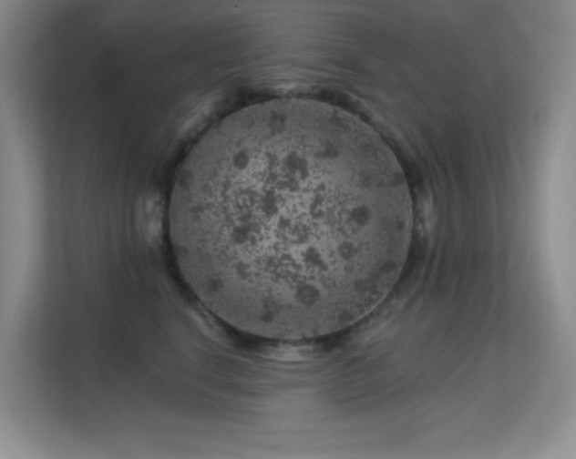 X0000113570664200909251136