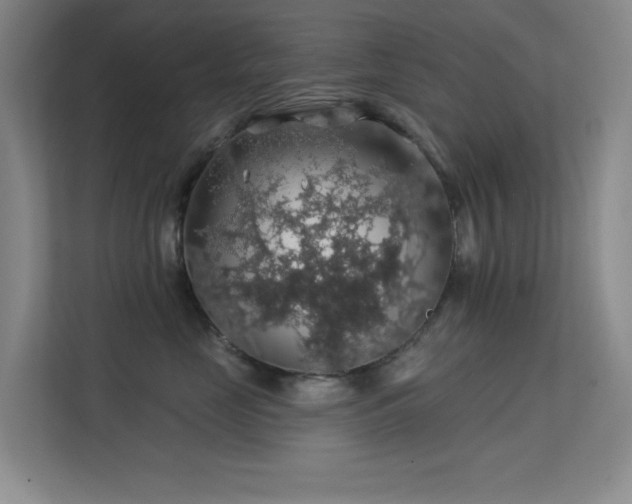 X0000113570669200909251136