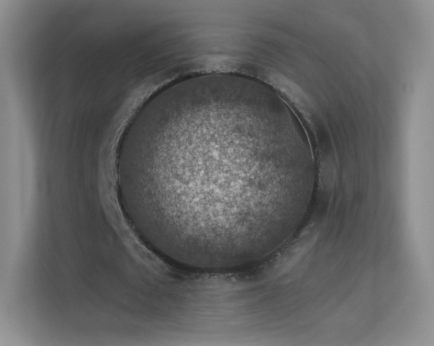 X0000113570673200909251135