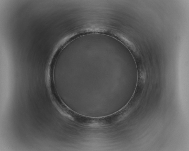 X0000113570678200909251135