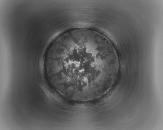 X0000113570679200909251135