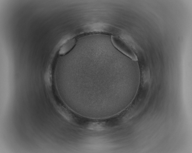 X0000113570680200909251135