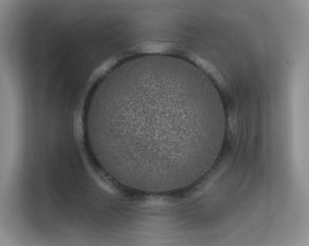 X0000113570682200909251135