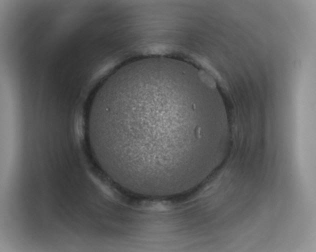 X0000113570683200909251135