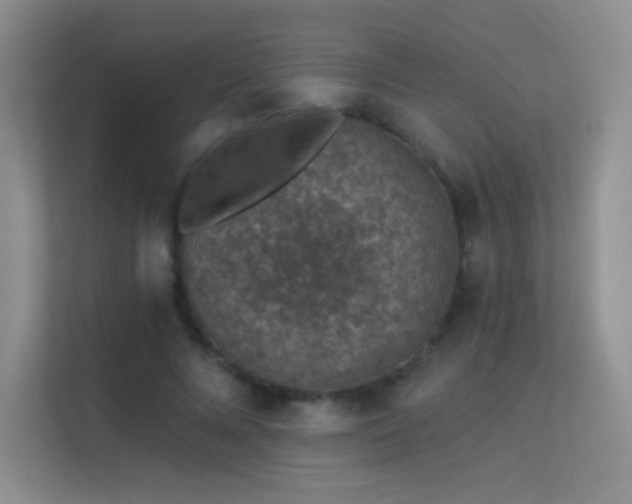 X0000113570688200909251135