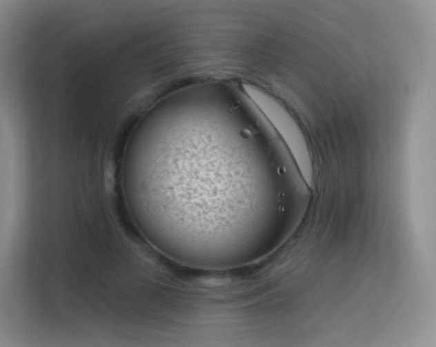 X0000113570693200909251135