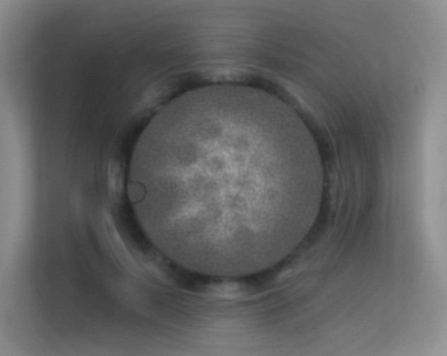 X0000113570695200909251135