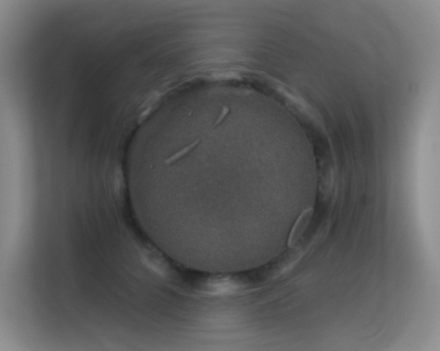 X0000113570704200909251135