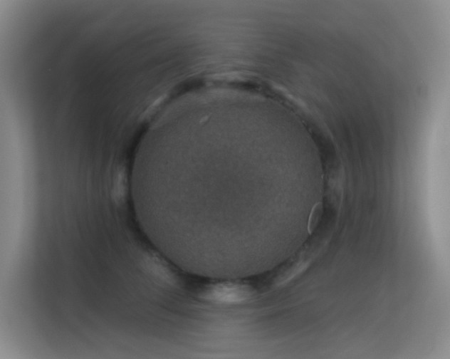 X0000113570708200909251135