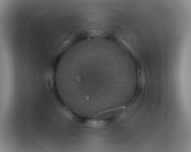 X0000113570712200909251134